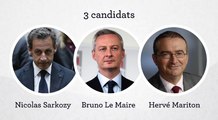 Présidence de l'UMP : ce qui oppose Sarkozy, Le Maire et Mariton