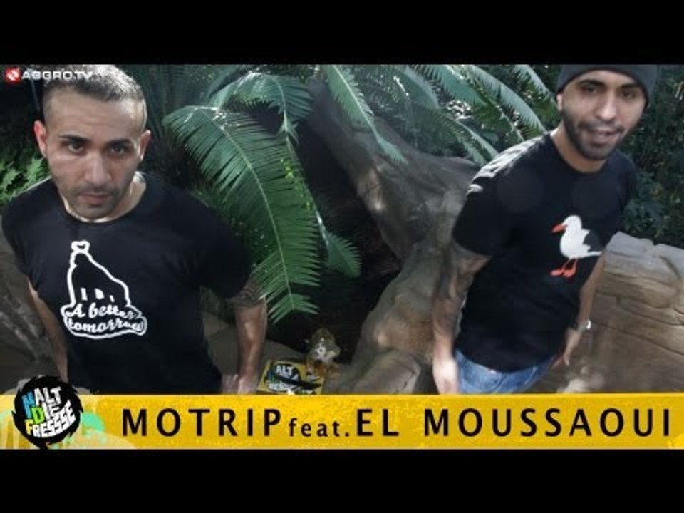 MOTRIP FEAT EL MOUSSAOUI HALT DIE FRESSE 04 NR. 194 (OFFICIAL HD VERSION AGGRO TV)