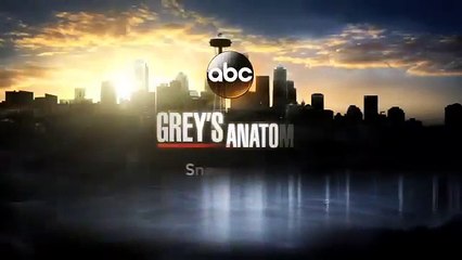 Grey's Anatomy - 11x08 - Sneak Peek 2 - ”Risk”- Le Président ne lâche pas l'affaire avec Derek