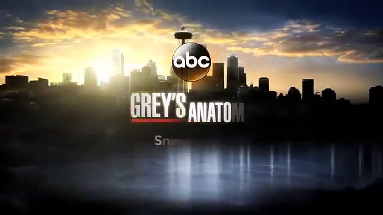 Grey's Anatomy - 11x08 - Sneak Peek 2 - ”Risk”- Le Président ne lâche pas l'affaire avec Derek