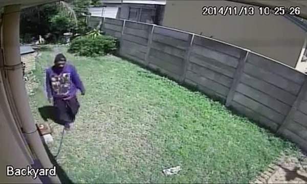Dumb Thief VS big cruel Dog! Hilarious