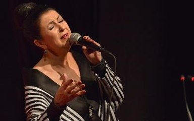 Melihat Gülses, Kilis'te Konser Verdi