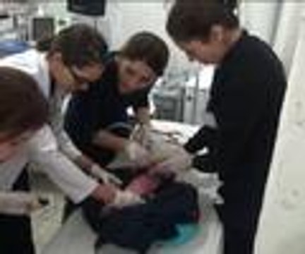 Doğar doğmaz çöp konteyneri yanına terk edildi