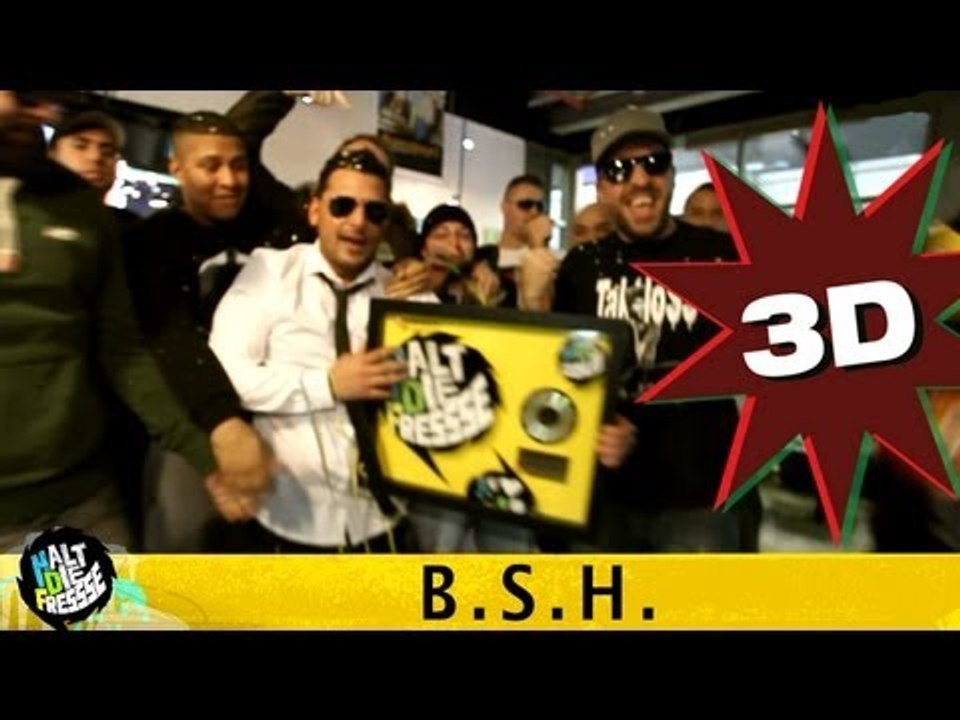 B.S.H. AKA BASS SULTAN HENGZT HALT DIE FRESSE GOLD NR. 06 (OFFICIAL 3D VERSION AGGROTV)