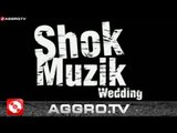 RAP CITY BERLIN DVD #1 - SHOK MUZIK - 29 (OFFICIAL HD VERSION AGGROTV)