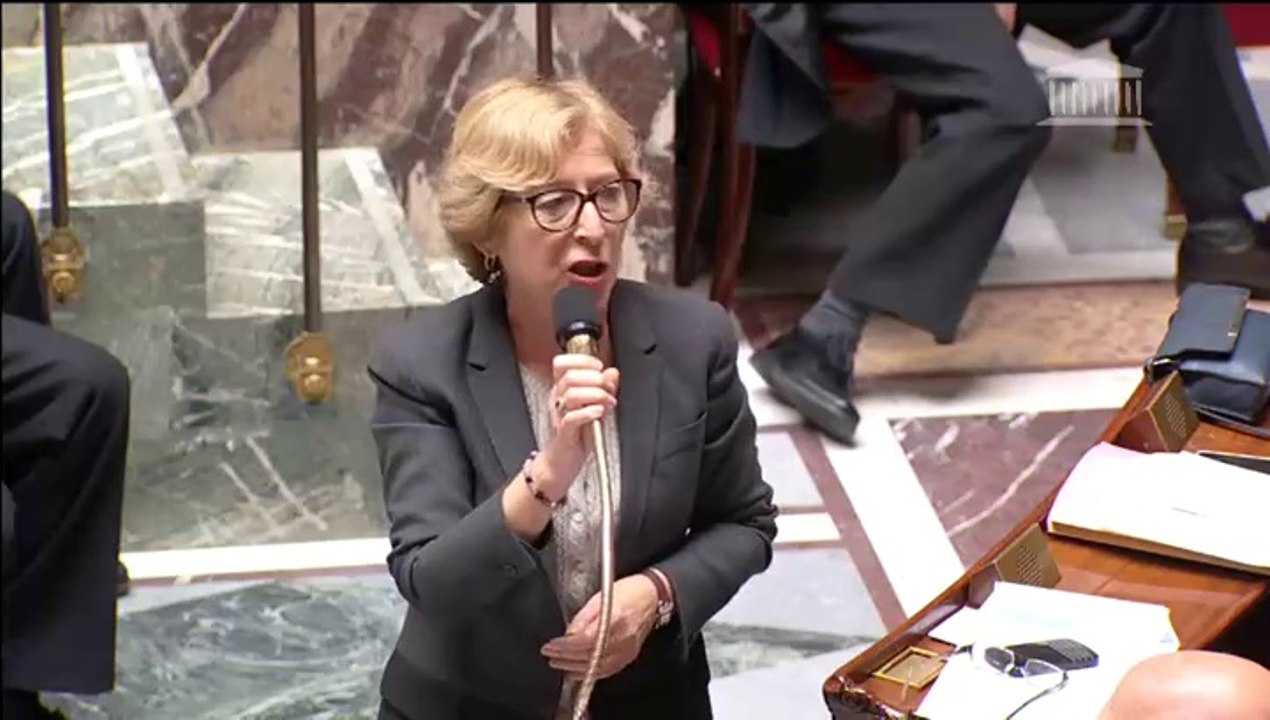 Réponse de Geneviève Fioraso à Guillaume Bachelay