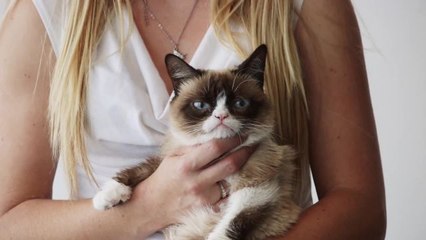 Animal House Behind the Scenes