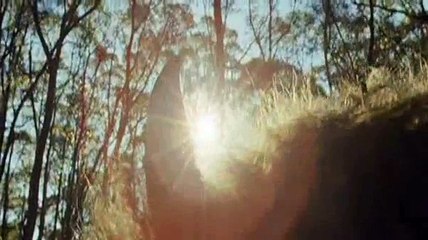 Max et les maximonstres