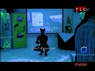 Choccywoccydoodah 20th November 2014 Video Watch Online pt5