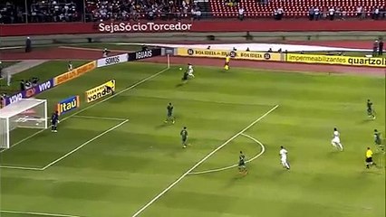 Wspaniały gol Luisa "O Fabuloso" Fabiano