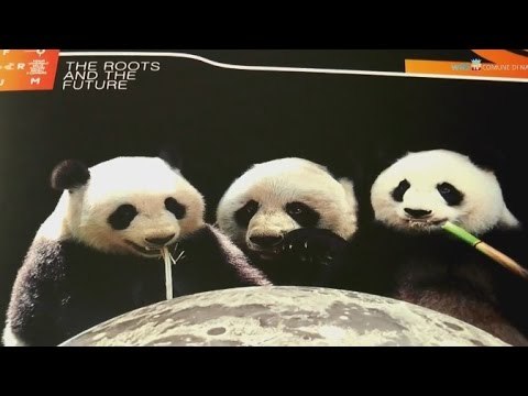 Napoli - Greenaway e Muti per il Forum delle Culture (19.11.14)