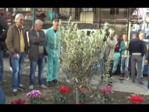 Napoli - Davide Bifolco, aiuola al Rione Traiano -3- (18.11.14)