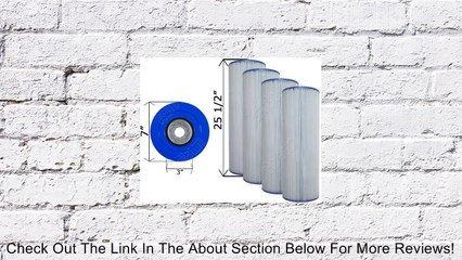 Unicel C-7488-4 Replacement Cartridges for C4025/C4030 Filters, 4-Pack Review