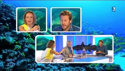 Merveilleux monde sous-marin