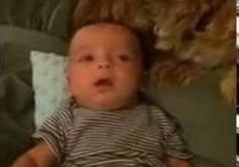 Protective Puppy Loves Baby Twins