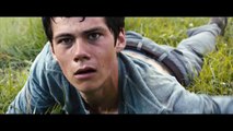 The Maze Runner Survive Featurette HD