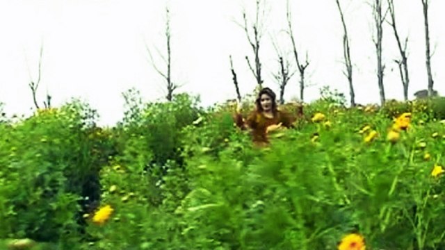 Nazia Iqbal - Khkare Che Sta Laika Na Yam