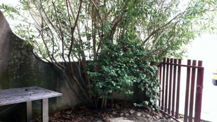 A vendre - Maison/villa - St Etienne Du Gres (13103) - 4 pièces - 110m²