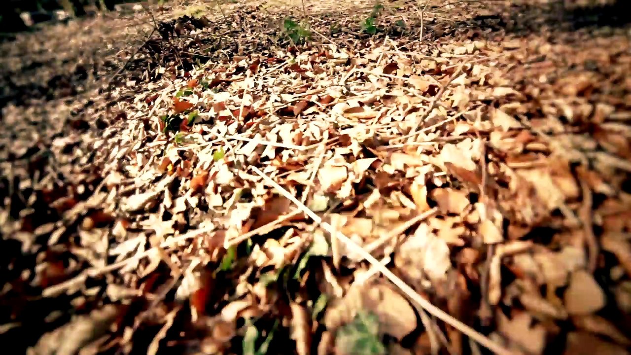 JUST STEER IT. Long Version - Kiosque Film • TV • Media | Filmproduktion Düsseldorf