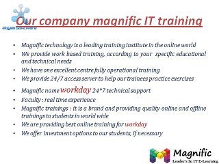 Workday online training-magnific