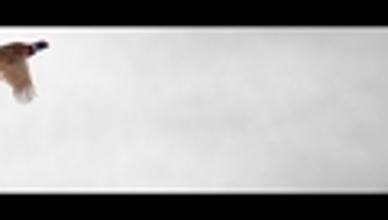 Schändung - Clip 8 Kimme und Ditlev Pram (Deutsch) HD