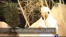 Owais Raza Qadri New Video naat Album - Chalo Diyare Nabi Ki Janib
