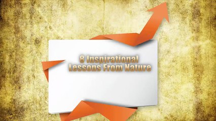 8 Inspirational Lessons From Nature