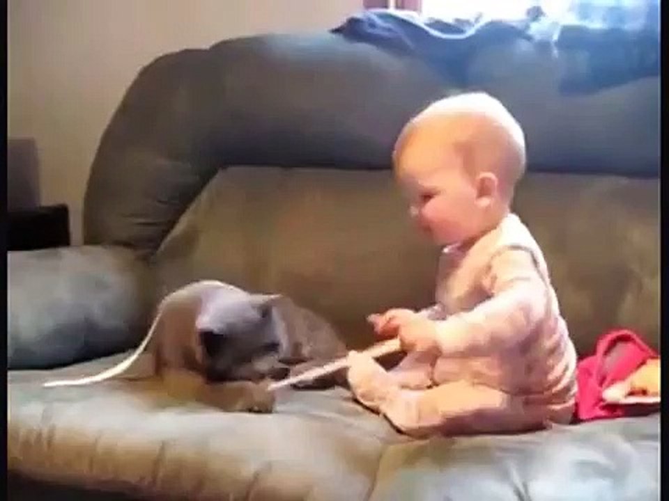 Cat and Baby Ribbon