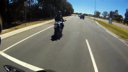 Un kangourou saute par dessus un motard !