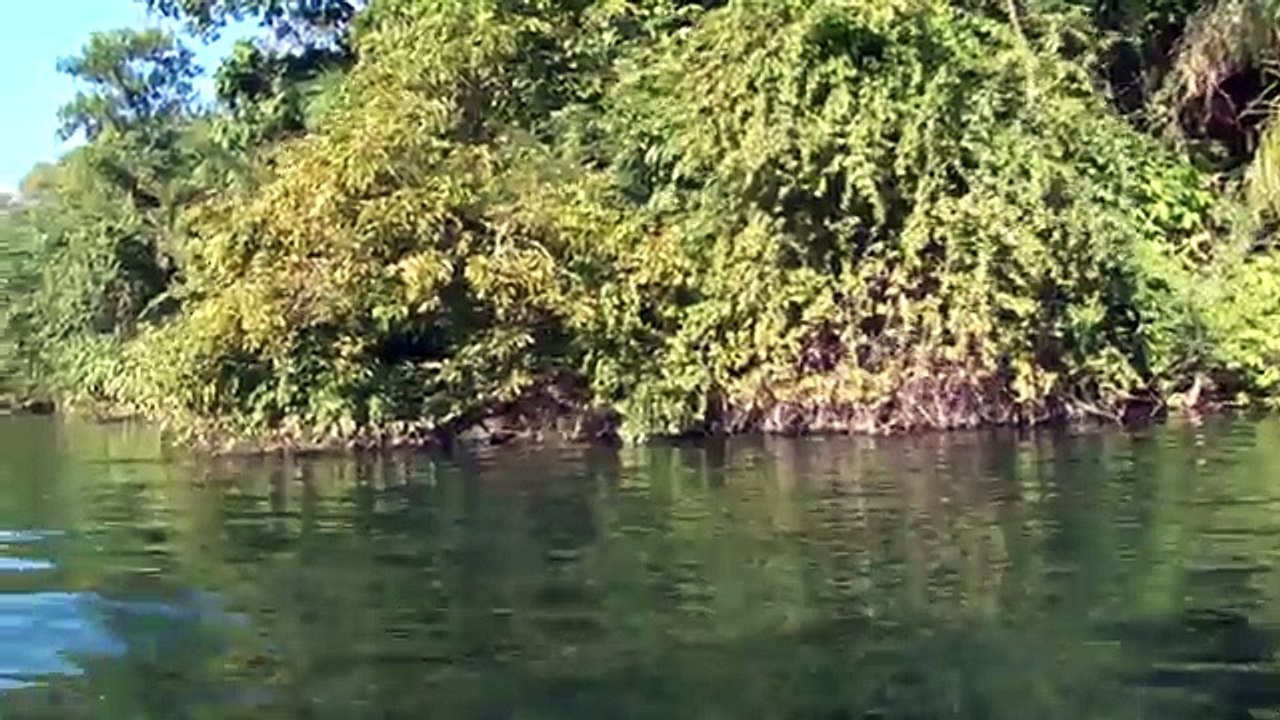 Pantanal Conservation Area - Paraguay