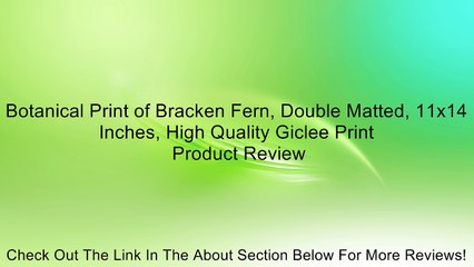 Botanical Print of Bracken Fern, Double Matted, 11x14 Inches, High Quality Giclee Print