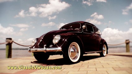 Classic VW BuGs Stainless Steel Beetle '67+ Molding Chrome & Clip Removal Installation