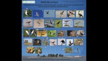 Isla de las Gaviotas. Reserva Ecológica