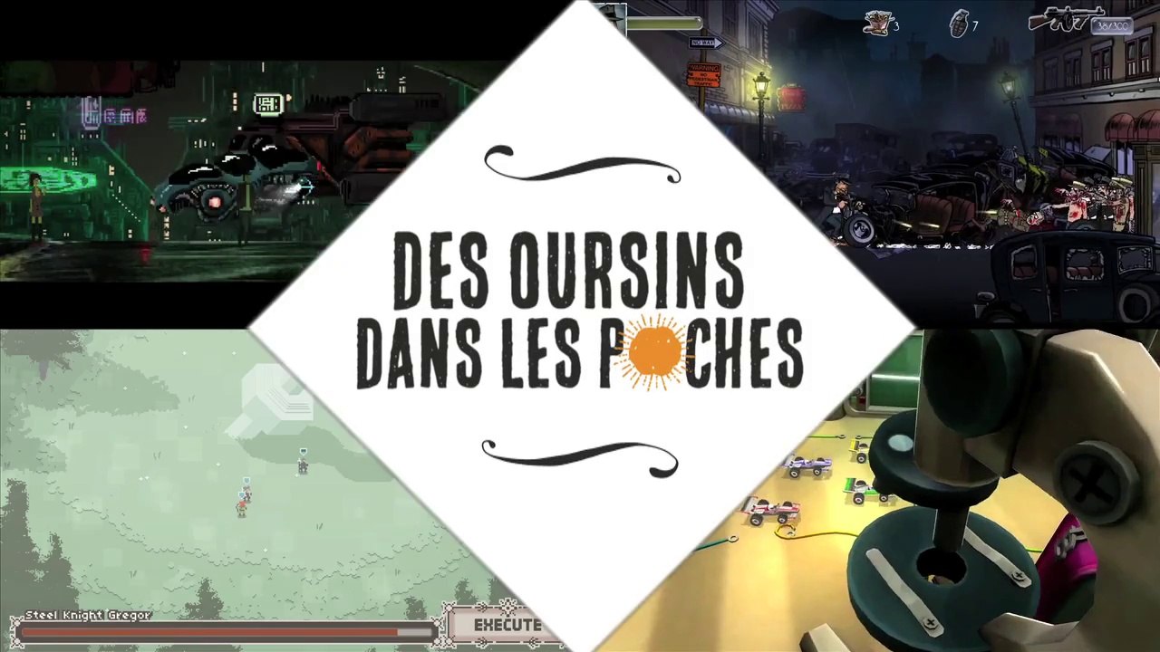 Des Oursins dans les Poches #1 (novembre 2014)