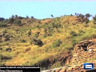 Dunya News - Indian firing at LoC, one soldier killed