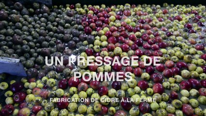 Un pressage de pommes, fabrication de cidre à la ferme