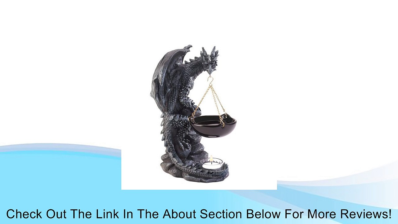 Koehlerhomedecor Indoor Essential Oil Shadowy Dragon Oil Warmer Review