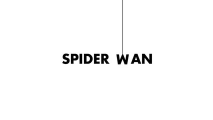 Word as Image