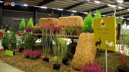 Teleurstelling overheerst: kleindierenshow Zuidbroek gaat niet door - RTV Noord