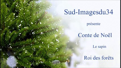 CONTE DE NOËL - LE SAPIN ROI DES FORÊTS