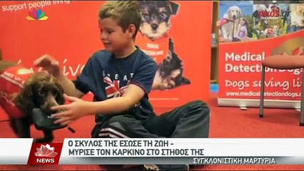 BINTEO-Ο σκύλος «μυρίστηκε» τον καρκίνο της