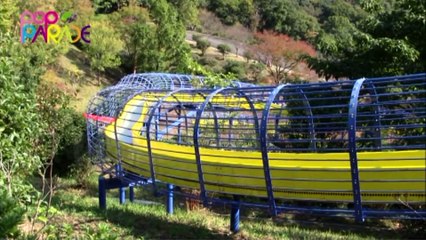 POP PAREDE.14.11.21  ♪それ行け!CYS と元町百段公園、上野優華登場