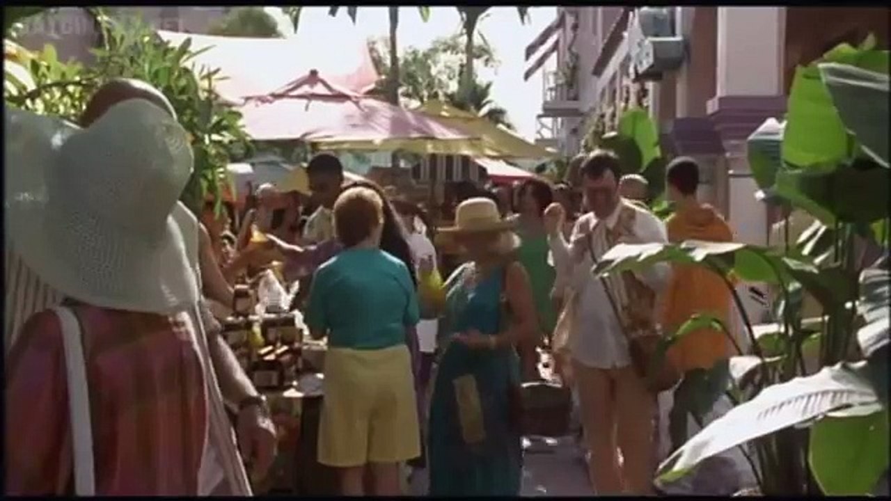 The Birdcage, de Mike Nichols (1996)