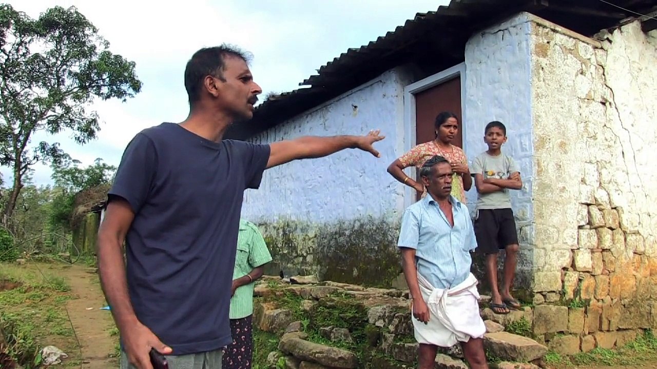 Elefanten in Indien: Alarm per SMS