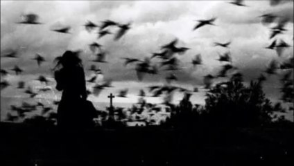 Shizzo Flamingos - Final Calm