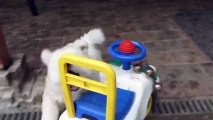 Puppy Playing With a Toy Car