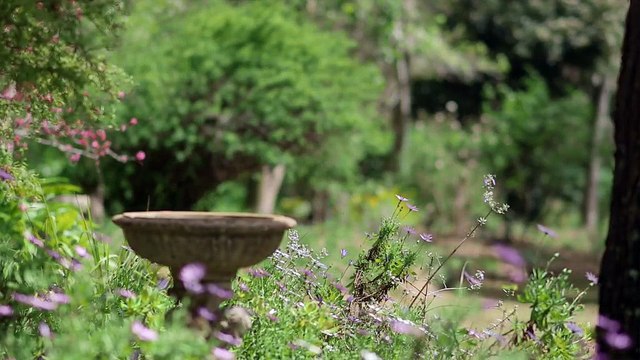 227 Cherry Creek Road, Cherry Creek 4306 QLD