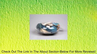 Seashell Potpourri in Elegant Decorative Glass Bowl Review