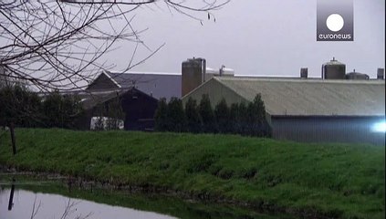 حالة ثانية لإنفلونزا الطيور في هولندا