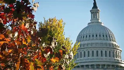 How to spend $3.6 billion this midterm election